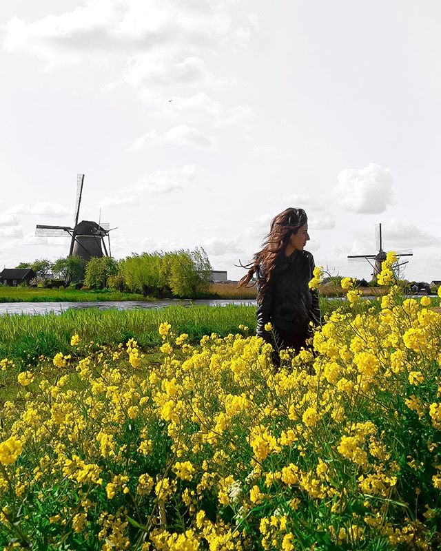 Windmills and spring flowers make me want to move to the Netherlands ASAP.
—
#dametraveler #sheisnotlost #WeAreTravelGirls #femmetravel #SidewalkerDaily #Girlaroundworld #passionpassport #darlingescapes #gltLOVE #mylpmag #ladiesgoneglobal #lovetheworld #BBCtravel #fodorsonthego #timeoutsociety #iamatraveler #girlsmeetglobe #traveloffpath